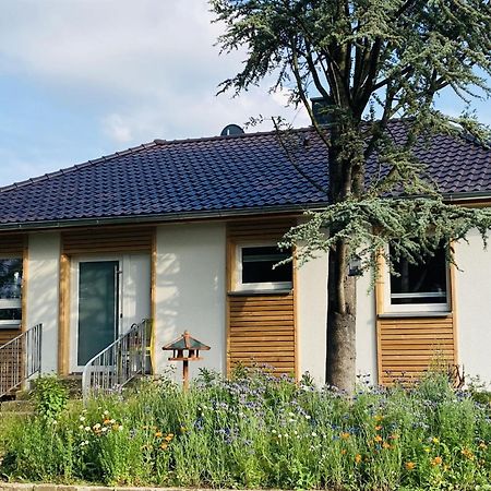 Ferienhaus Urwald Hofgeismar Dış mekan fotoğraf