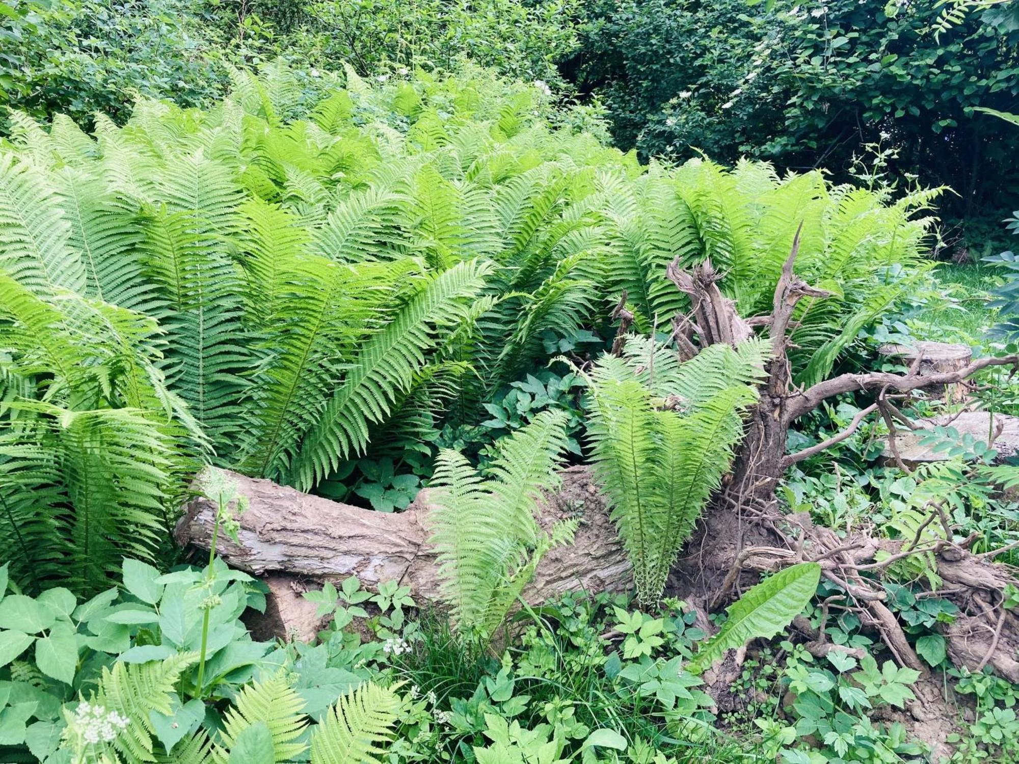 Ferienhaus Urwald Hofgeismar Dış mekan fotoğraf
