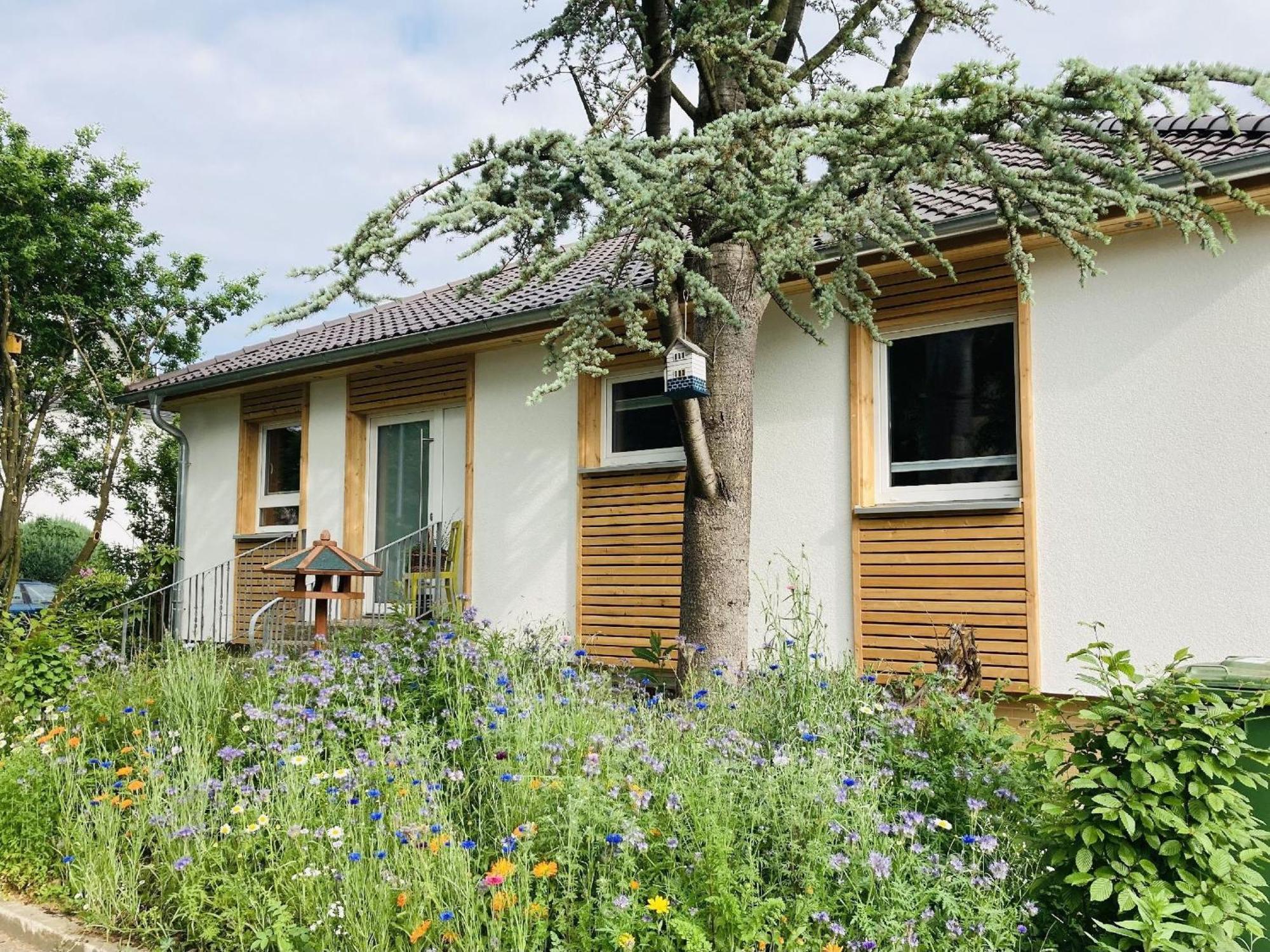 Ferienhaus Urwald Hofgeismar Dış mekan fotoğraf